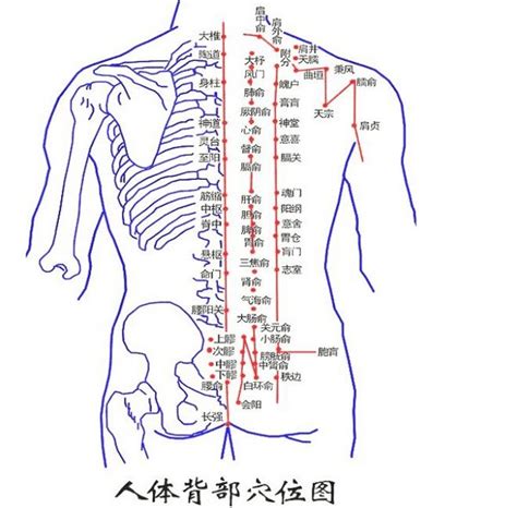 背部痣吉凶|长在背部的痣有何寓意